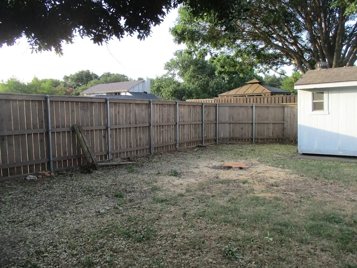 Cleared yard after professional tree removal in Hackleburg