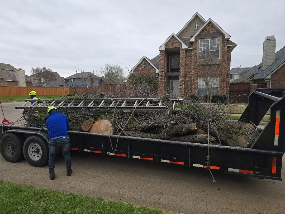 Expert Tree Removal with proper safety equipment in Hackleburg